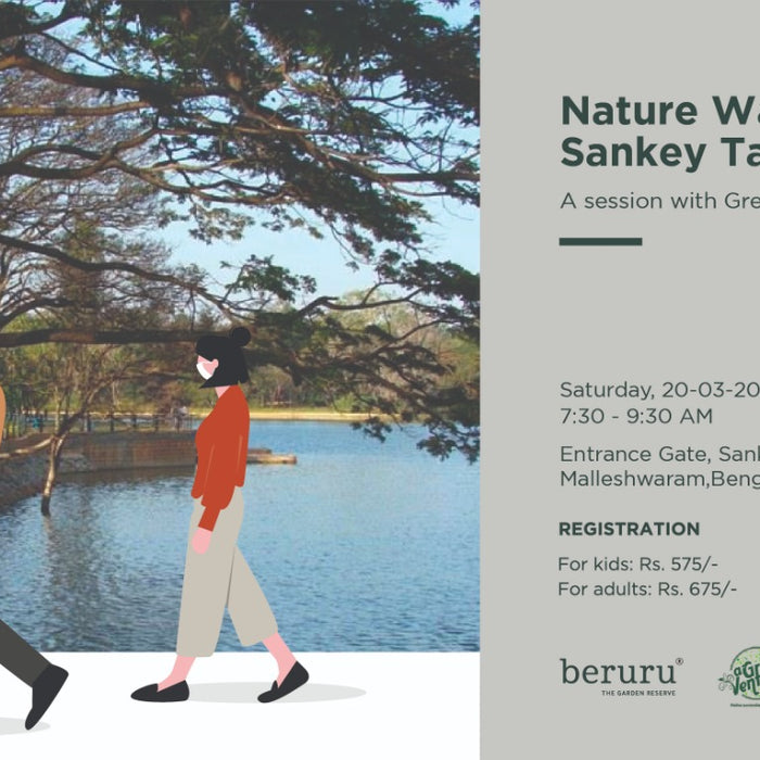 Nature Walk At Sankey Tank