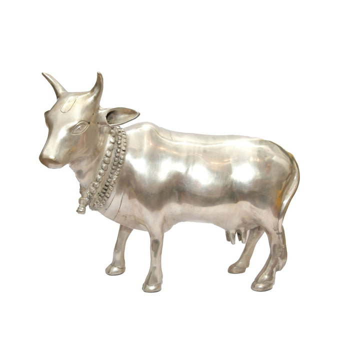 Nandi Cow- Silver