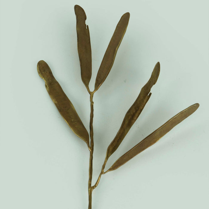 Brass Acacia Seed Pod