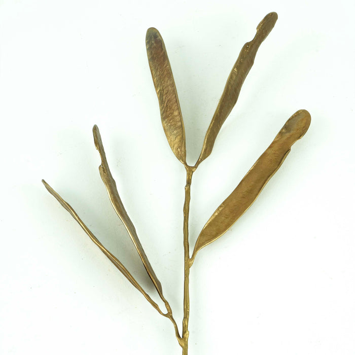 CMP Brass Acacia Seed Pod