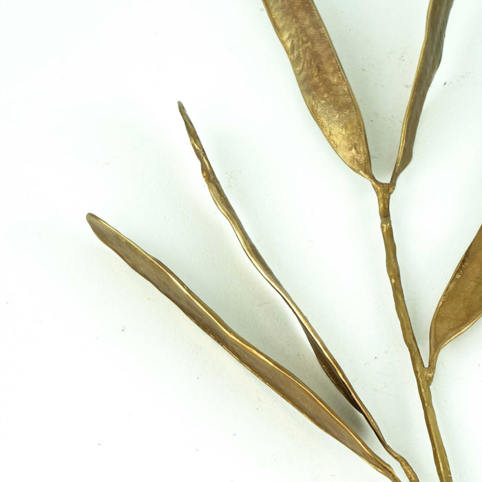 CMP Brass Acacia Seed Pod