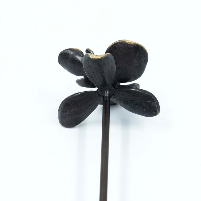 Brass Orchid Single Flower Stem