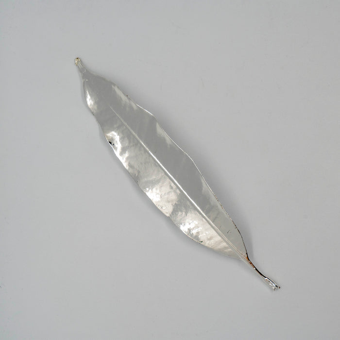 Fresh Plumeria Leaf Silver Dipped 999