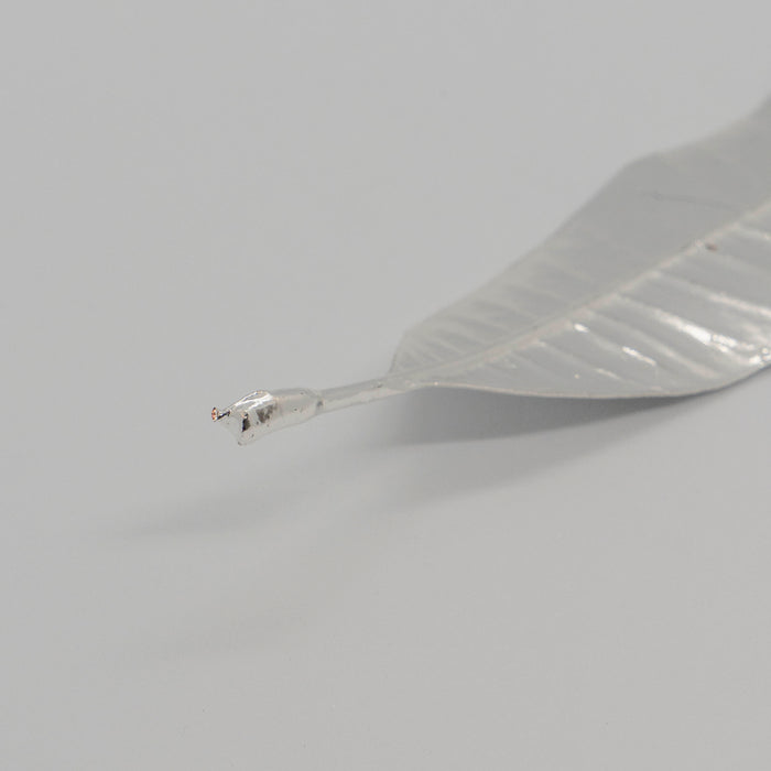 Fresh Plumeria Leaf Silver Dipped 999