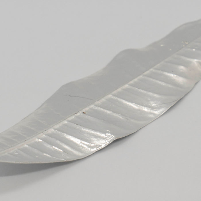 Fresh Plumeria Leaf Silver Dipped 999