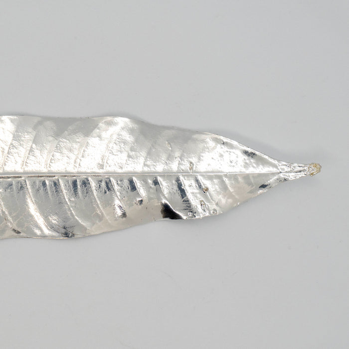 Fresh Plumeria Leaf Silver Dipped 999