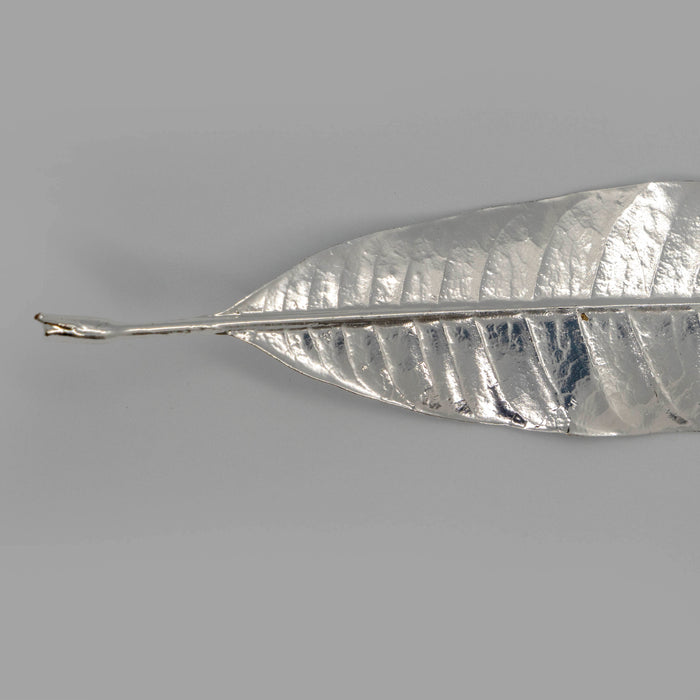 Fresh Plumeria Leaf Silver Dipped 999