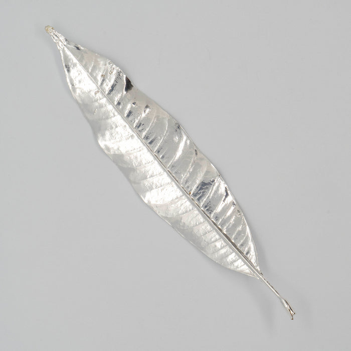 Fresh Plumeria Leaf Silver Dipped 999