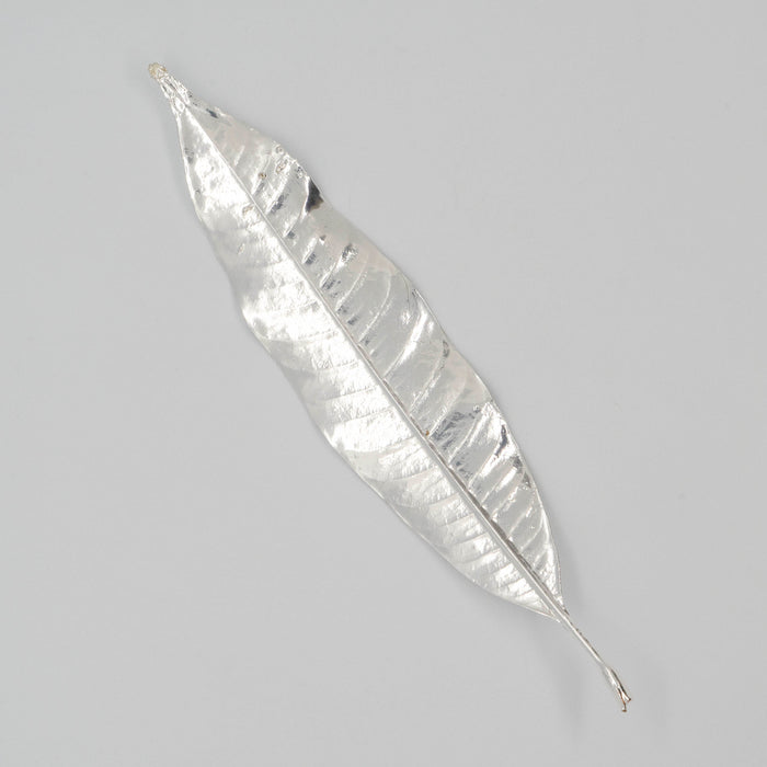 Fresh Plumeria Leaf Silver Dipped 999