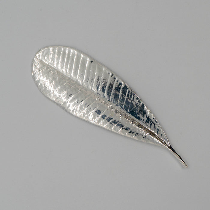 Fresh Plumeria Leaf Silver Dipped 999