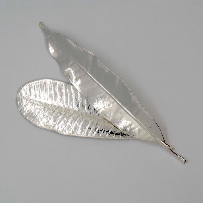 Fresh Plumeria Leaf Silver Dipped 999