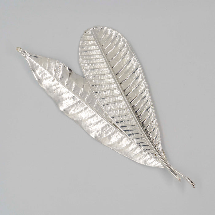 Fresh Plumeria Leaf Silver Dipped 999