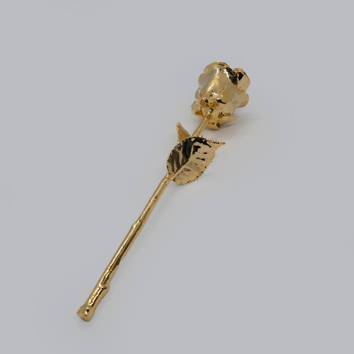 Fresh Red Rose Gold Dipped 24k
