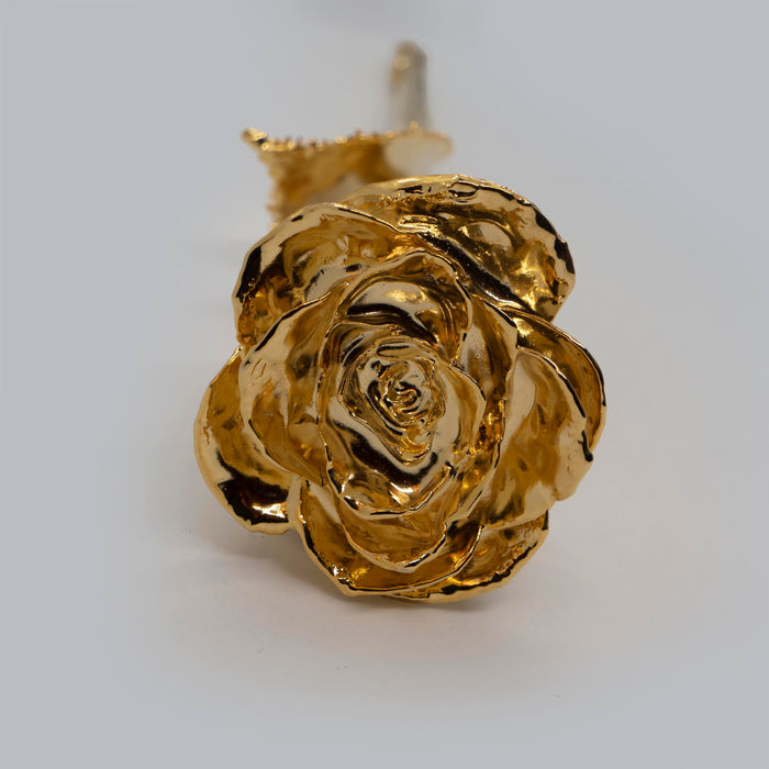 Fresh Red Rose Gold Dipped 24k