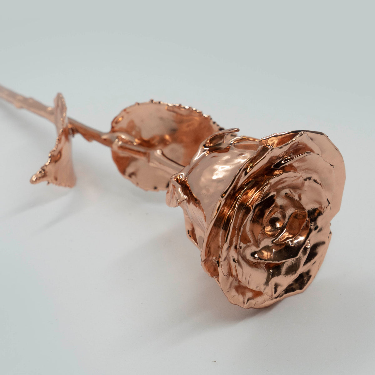 Buy Decor | Fresh Red Rose Gold Dipped 18k | Shop at The Purple Turtles ...