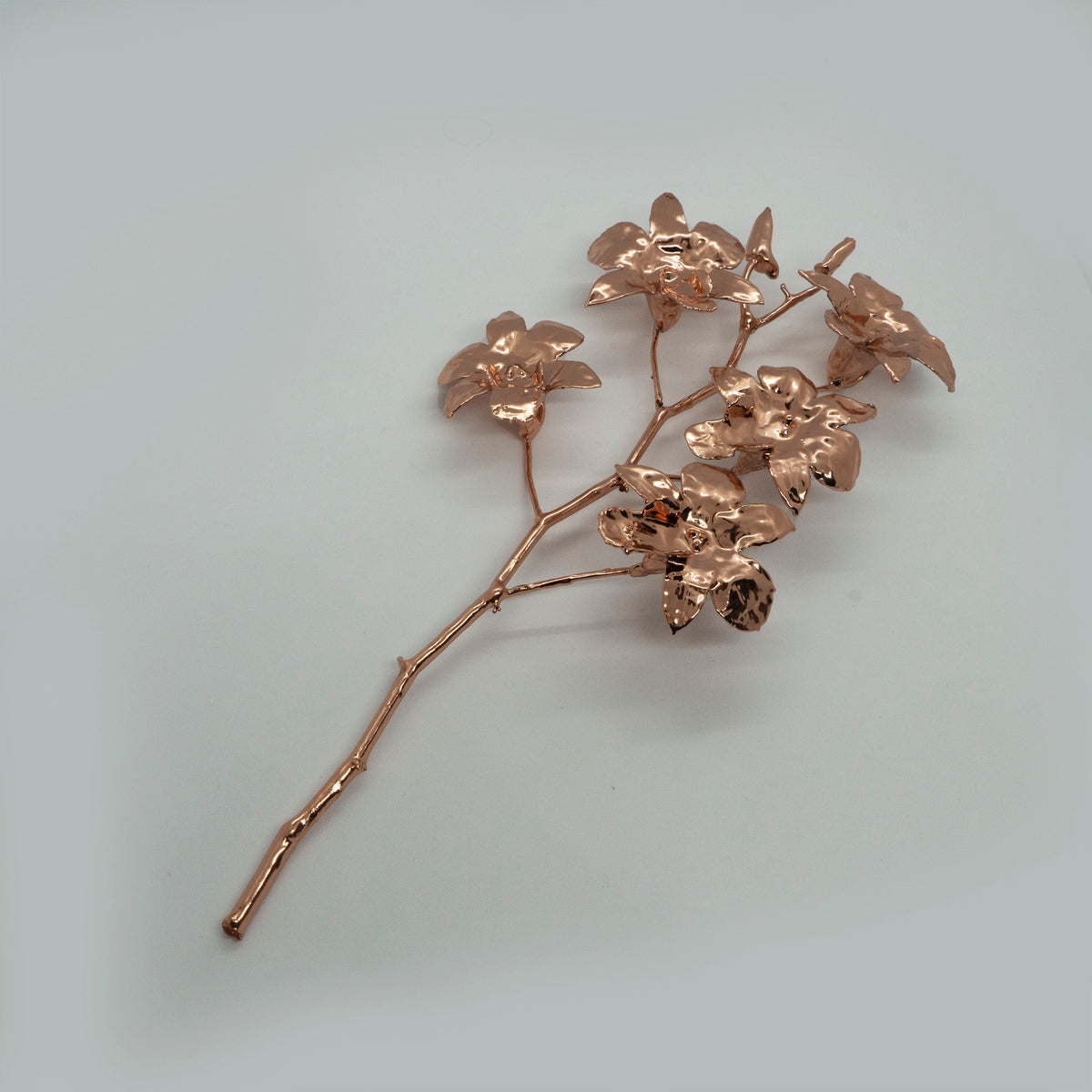 Buy Decor | Fresh Orchid Flower Gold Dipped | Shop at The Purple ...