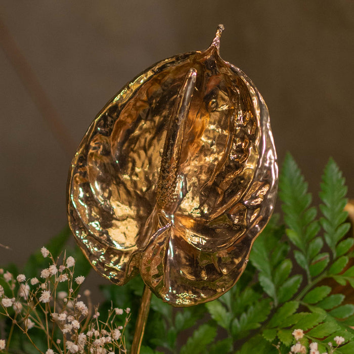 Fresh Anthurium With Stem Dipped In 24K Gold