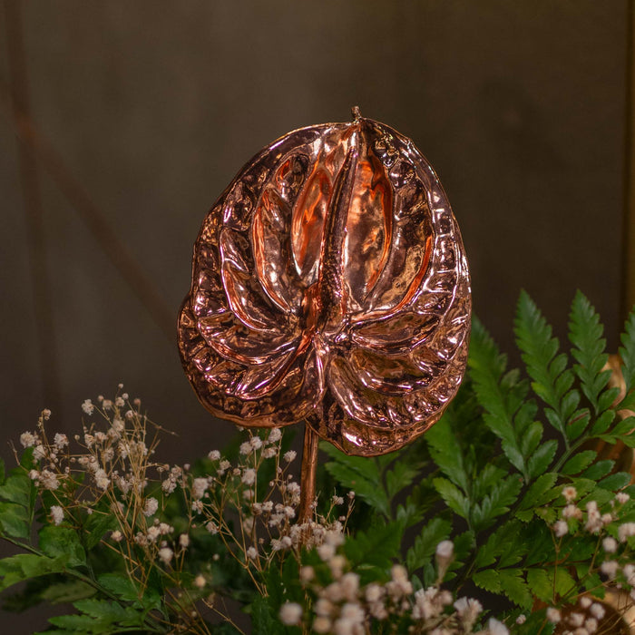 Fresh Anthurium With Dipped In Rose Gold (18K Gold With Copper Infused)