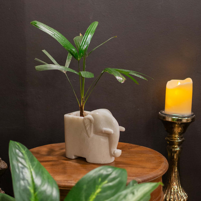 Elephant White Marble Planter