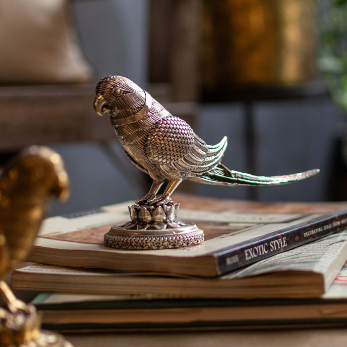 Brass Parrot Adorned in Antique Silver