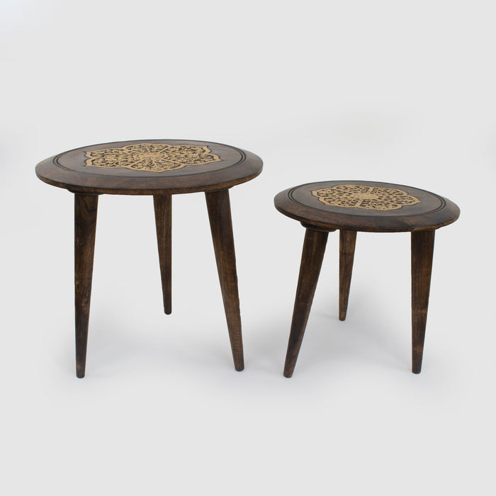 Brown Gold Side Table (Set of 2)