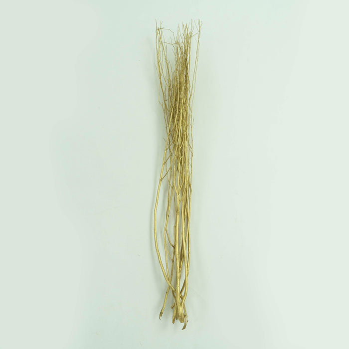 White Lady Dried Branch Bunch Gold