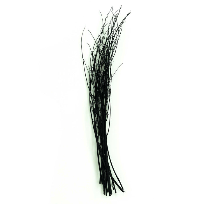 Brown Lady Dried Branch Bunch Black