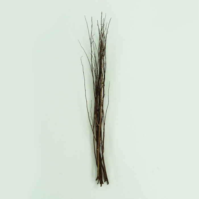 Brown Lady Dried Branch Bunch Natural