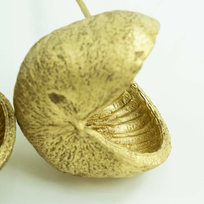 Buddha Nut Gold