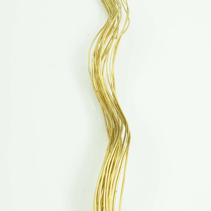 Curly Willow Gold