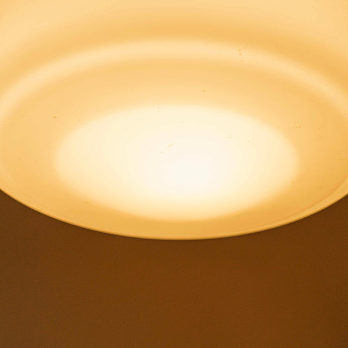 Lavish Milky Pendant  Lamp