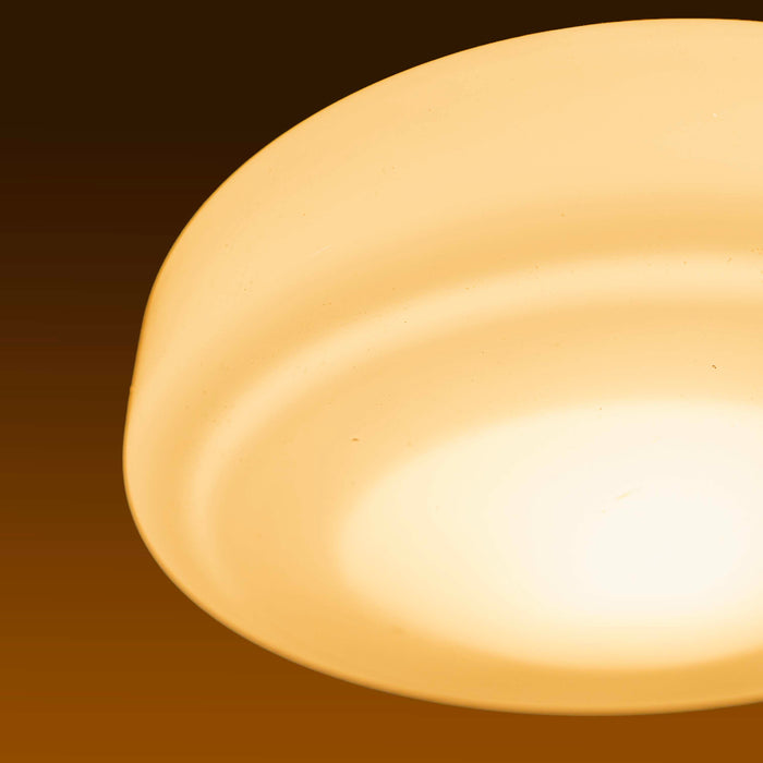 Lavish Milky Pendant  Lamp