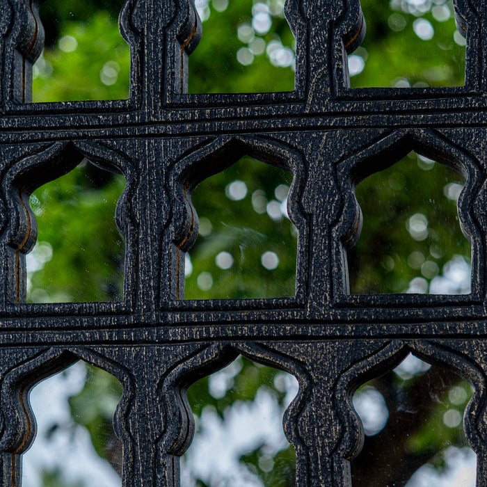 Rouhi Black Distressed Mirror