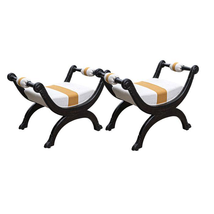 Amrapali Curved Arm Seater (Set Of 2)