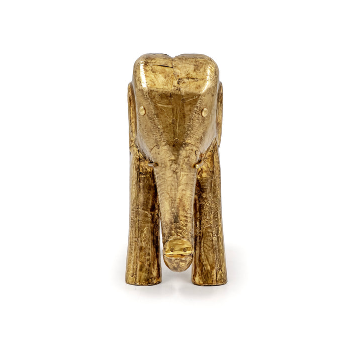 AANE FAUNA ELEPHANT