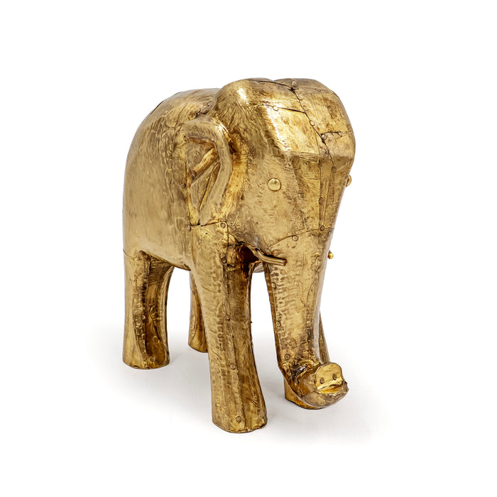 AANE FAUNA ELEPHANT