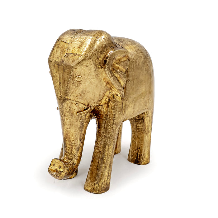 AANE FAUNA ELEPHANT
