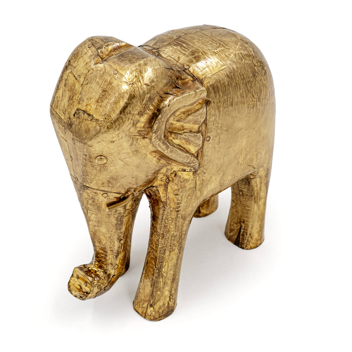 AANE FAUNA ELEPHANT
