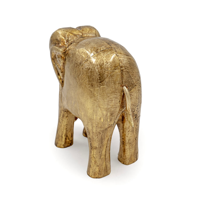 AANE FAUNA ELEPHANT