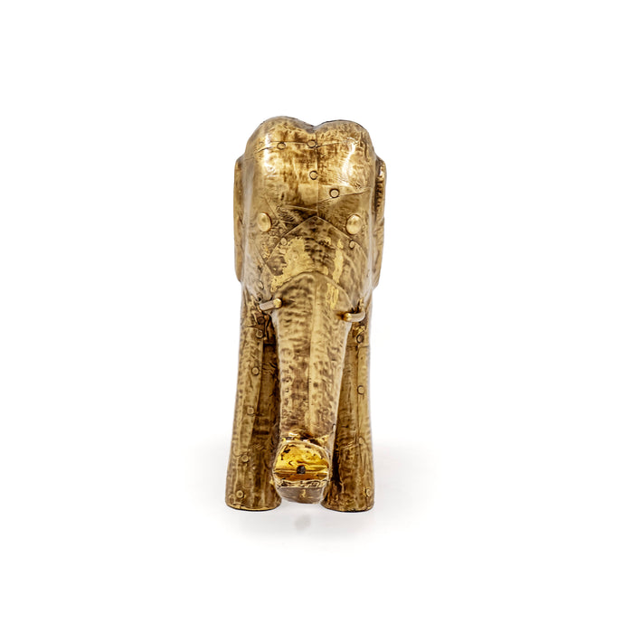 AANE FAUNA ELEPHANT