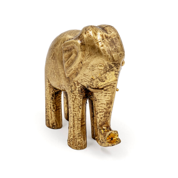 AANE FAUNA ELEPHANT