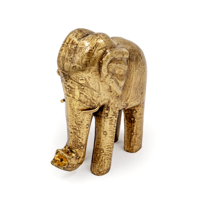AANE FAUNA ELEPHANT
