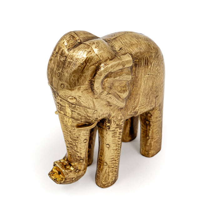 AANE FAUNA ELEPHANT