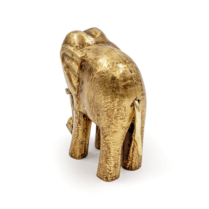 AANE FAUNA ELEPHANT