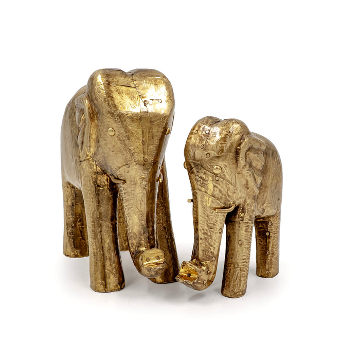 AANE FAUNA ELEPHANT