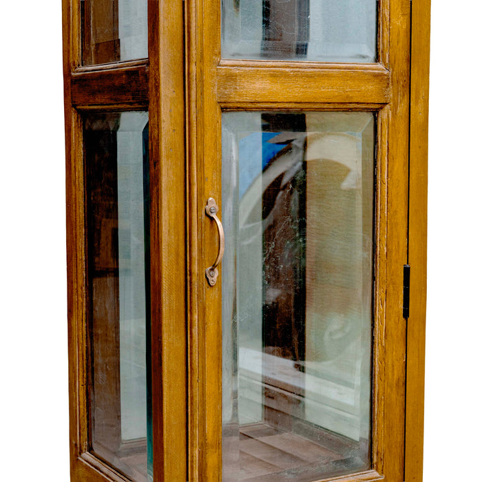 SARPA CABINET