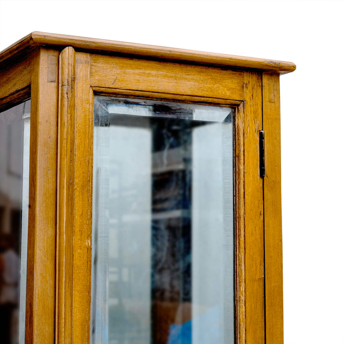 SARPA CABINET