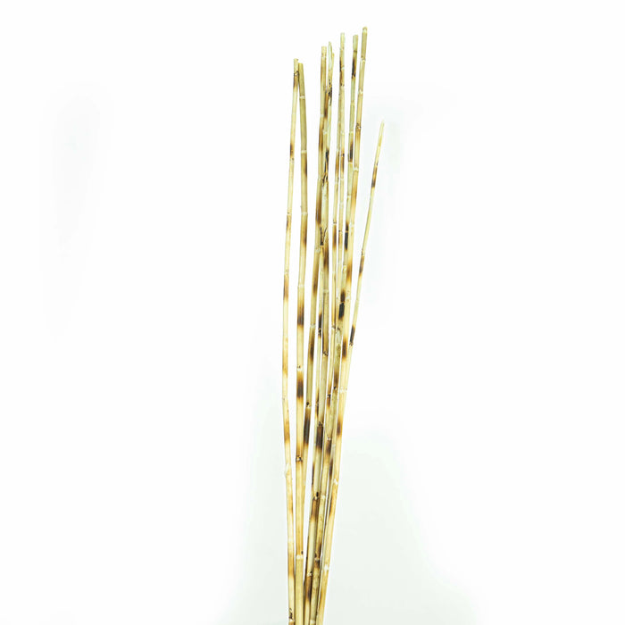 Bleach Burnt Plain Bamboo Sticks