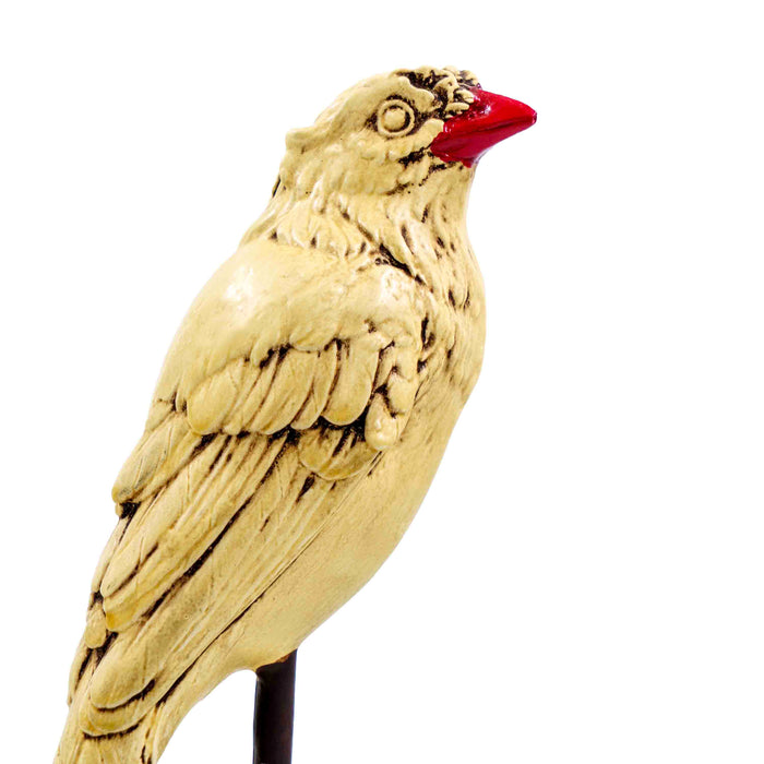 Vintage Birds Ivory