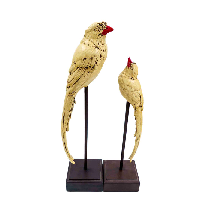 Vintage Birds Ivory
